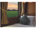 Premium Suites
